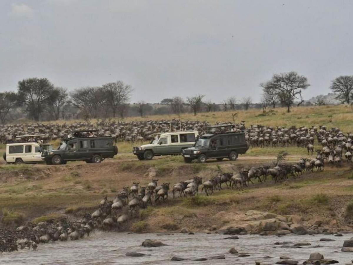 Serengeti Kifaru Tented Lodge Mugumu Kültér fotó