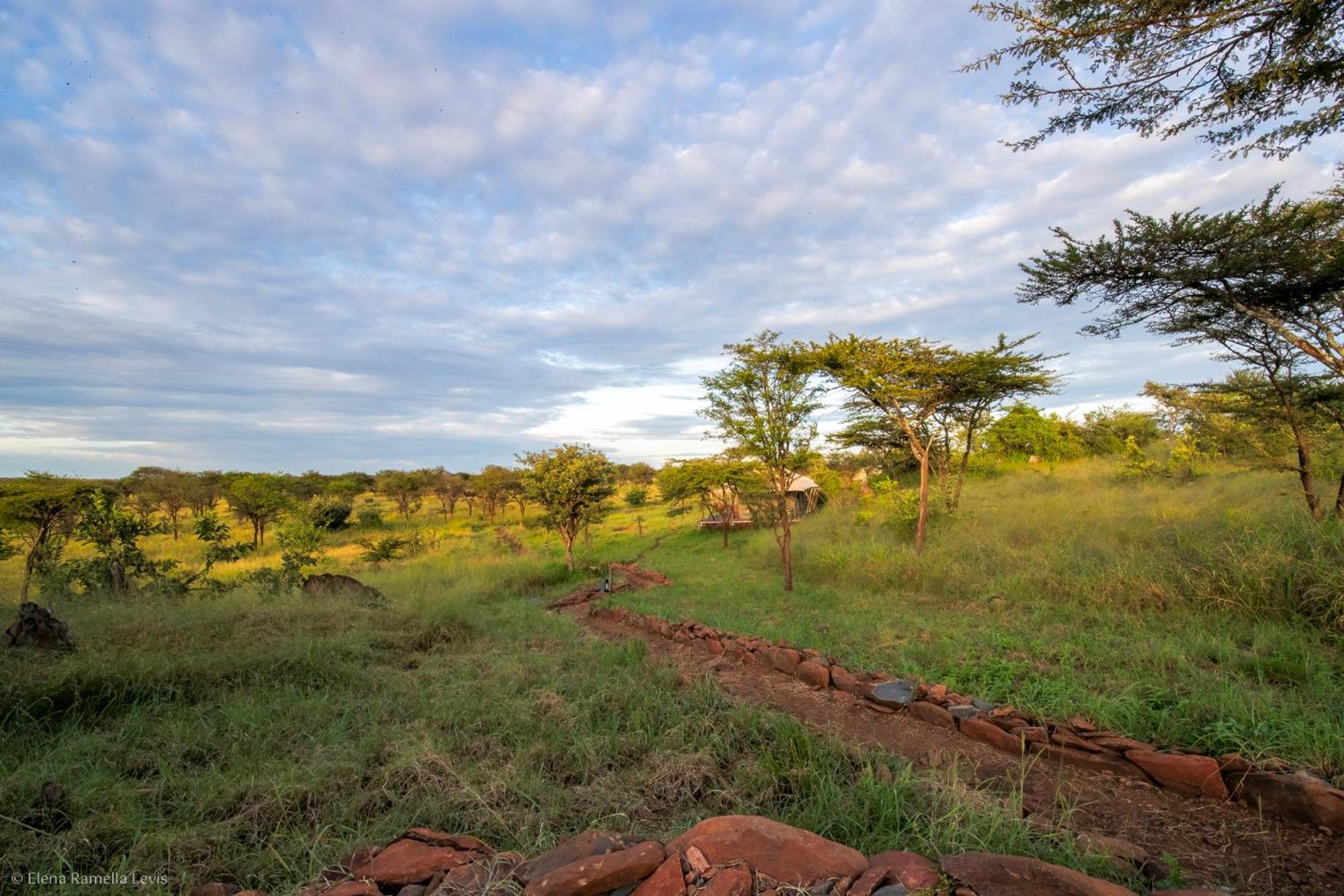 Serengeti Kifaru Tented Lodge Mugumu Kültér fotó