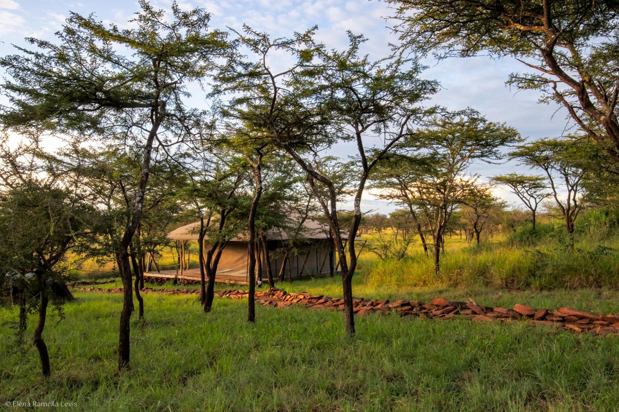 Serengeti Kifaru Tented Lodge Mugumu Kültér fotó